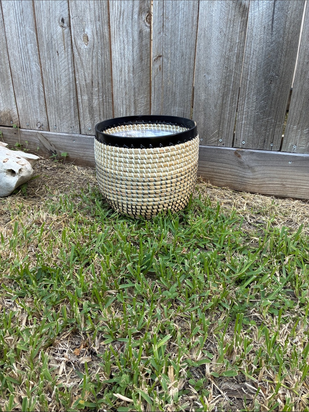 Woven Sea Grass Plant Basket